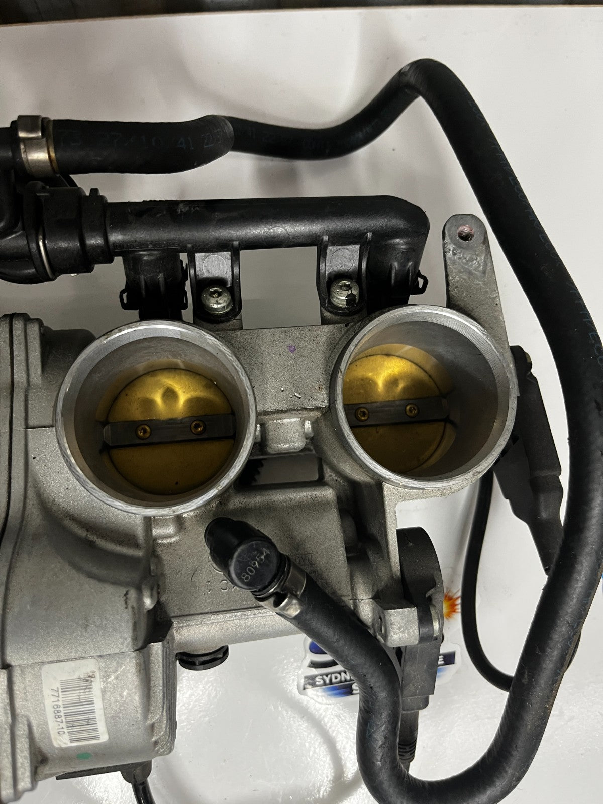 Image #6
