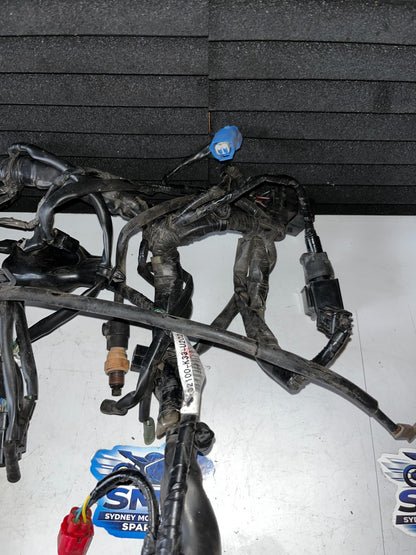 Image #5